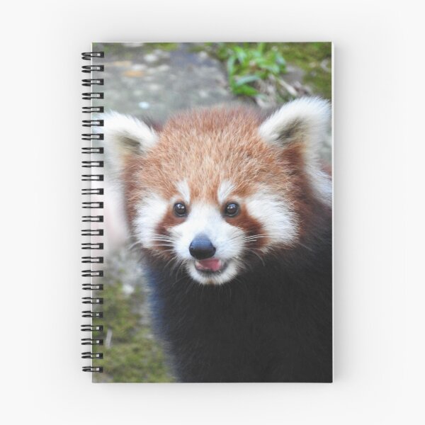 Item preview, Red Panda designed and sold by kirstybush.