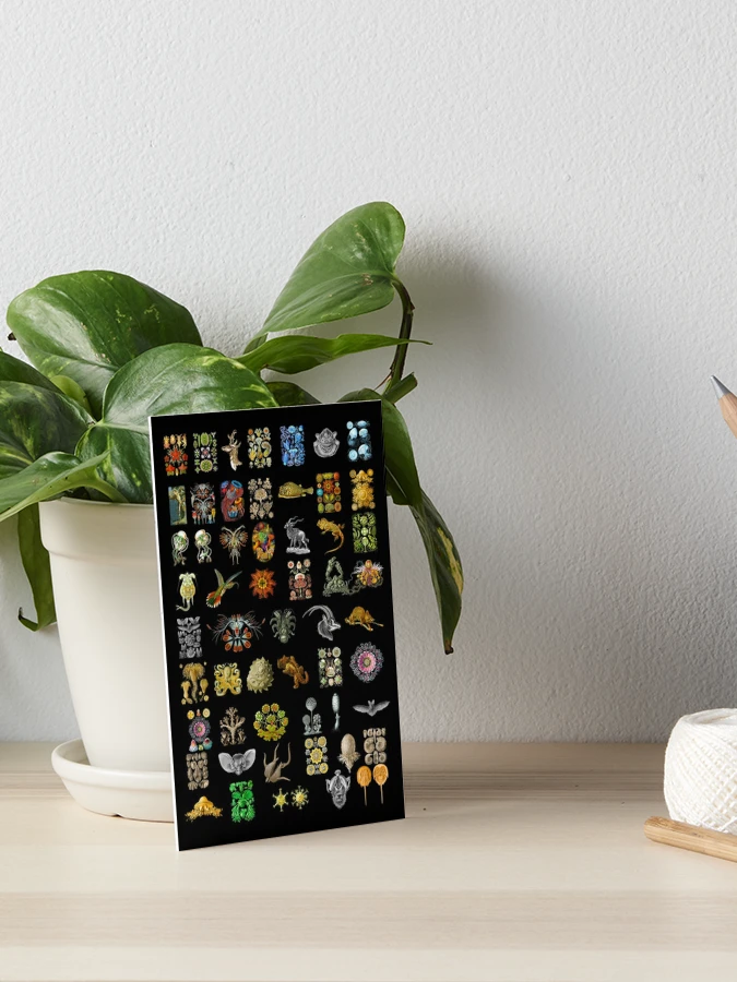 Enamel Pin Board Display