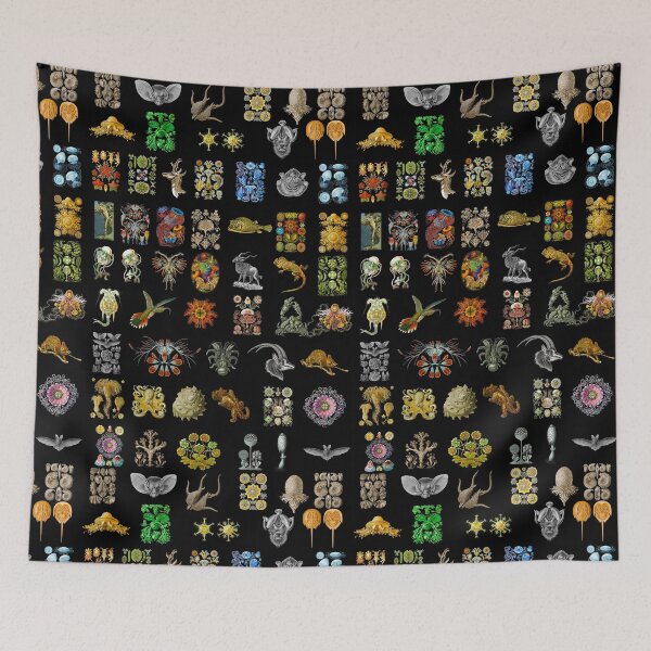 Item preview, A montage of drawings from Ernst Haeckel. designed and sold by Squirrox.