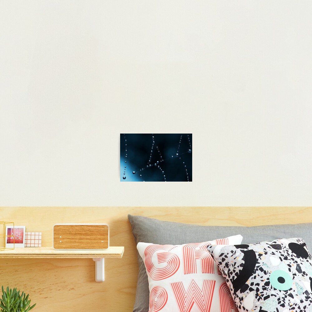 Item preview, Photographic Print designed and sold by SharonJ.
