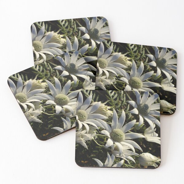 Item preview, Australian Flannel Flowers designed and sold by Gabrielle  Lees.