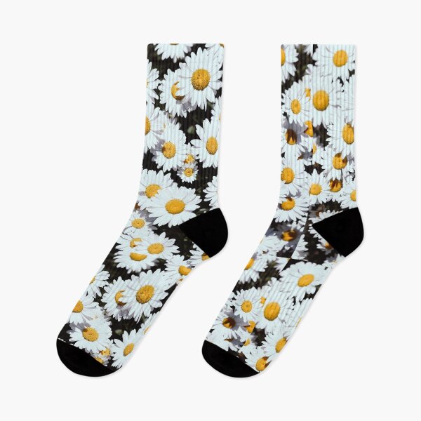 Aperçu de l'œuvre Fleurs de marguerite blanche en fleurs créée et vendue par newburyboutique.
