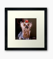 I’m a 10! Framed Print