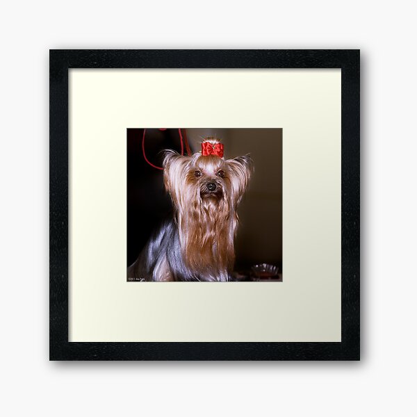 I’m a 10! Framed Art Print