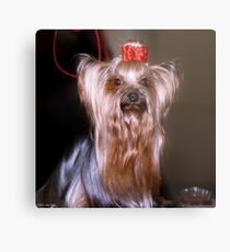 I’m a 10! Metal Print
