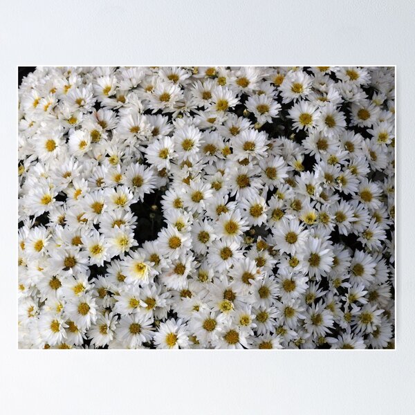 Aperçu de l'œuvre Flowers créée et vendue par mipeliba.