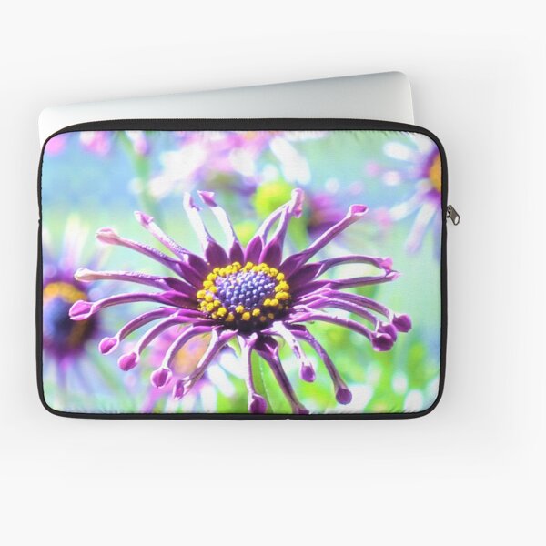 Spider Osteospermum Daisy Laptop Sleeve