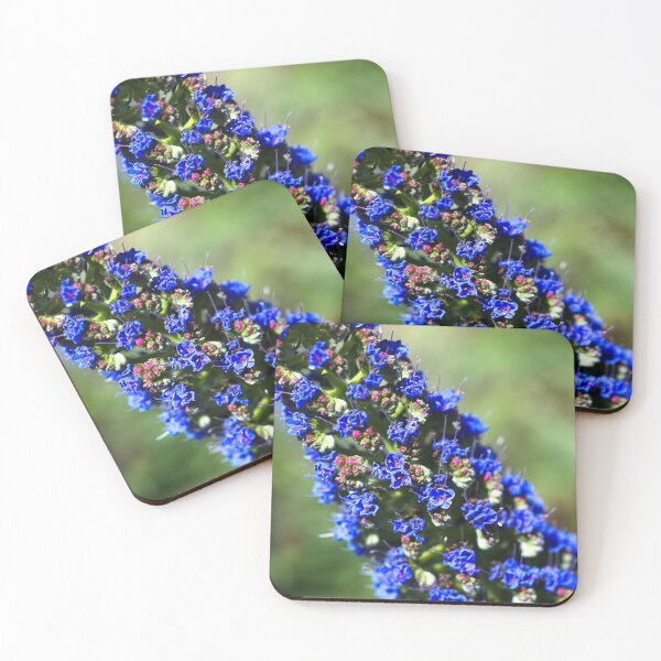 Item preview, Blue Veronica Flower designed and sold by Joy Watson - Natural Light Photography .