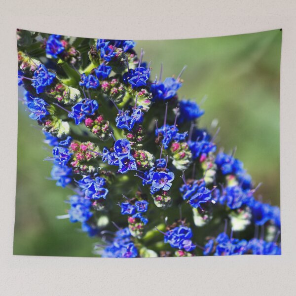 Item preview, Blue Veronica Flower designed and sold by Joy Watson - Natural Light Photography .