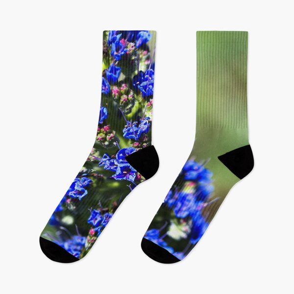Item preview, Blue Veronica Flower designed and sold by Joy Watson - Natural Light Photography .