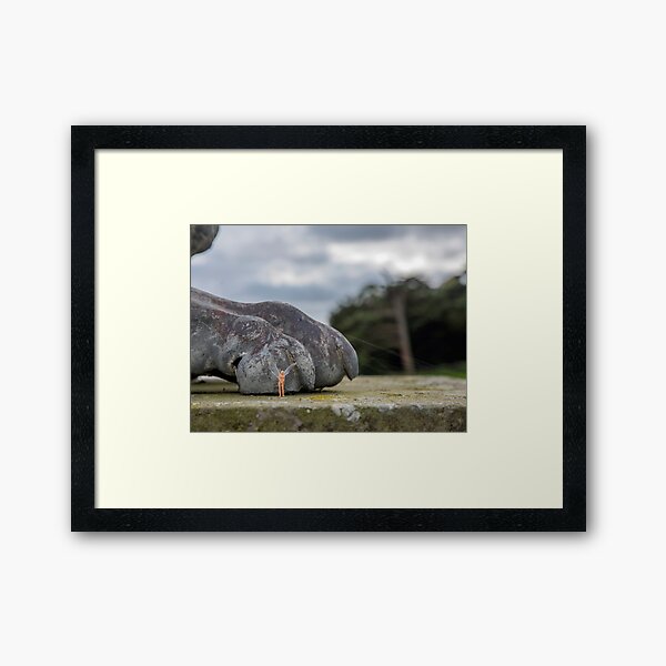 Hiding From The Spider Framed Art Print