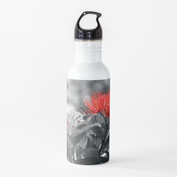 Metrosideros Thomasii Water Bottle