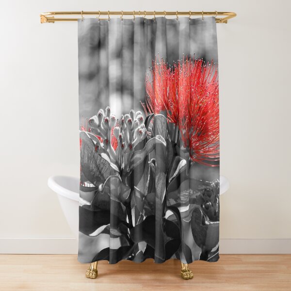 Metrosideros Thomasii Shower Curtain