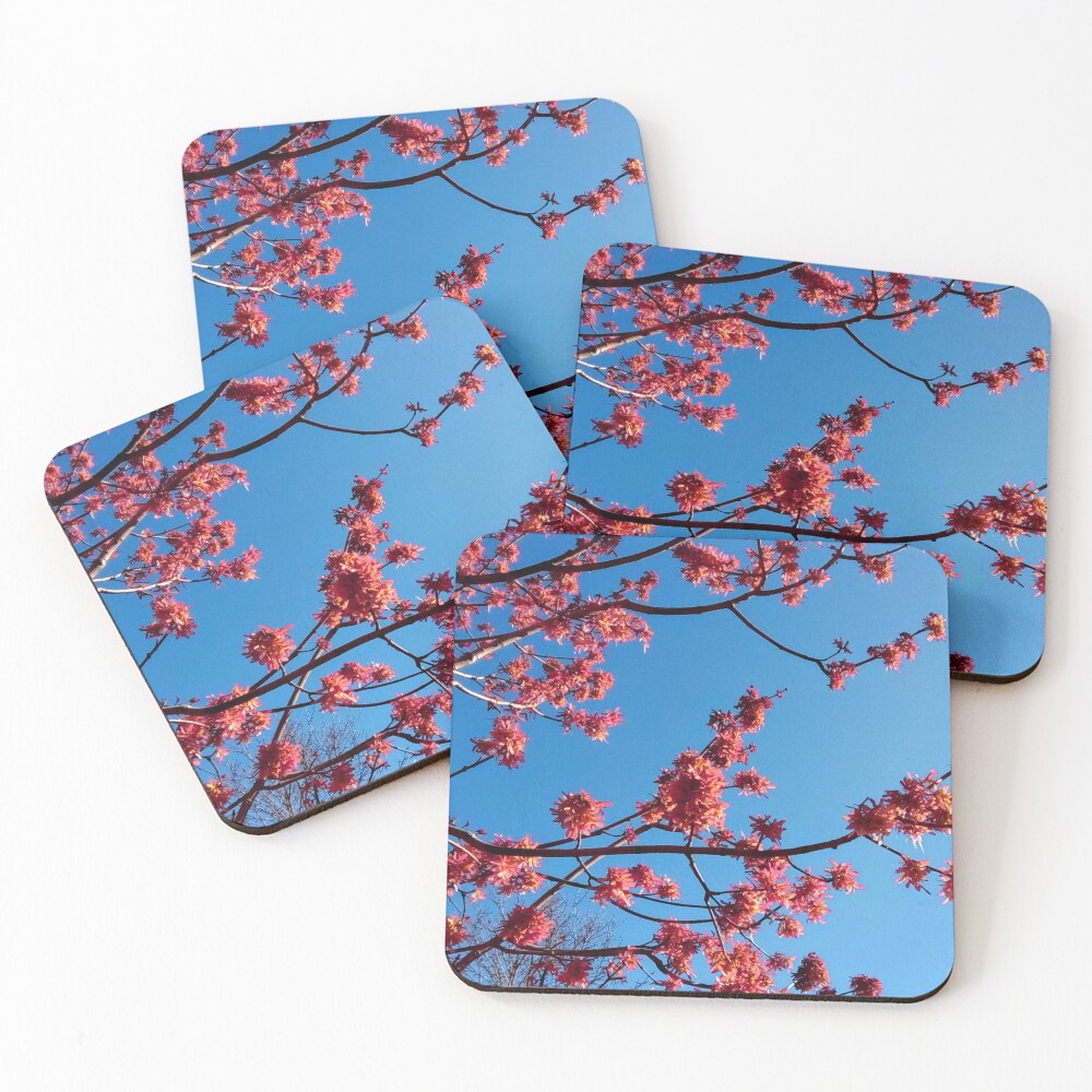 Item preview, Coasters (Set of 4) designed and sold by mn-imagerie.