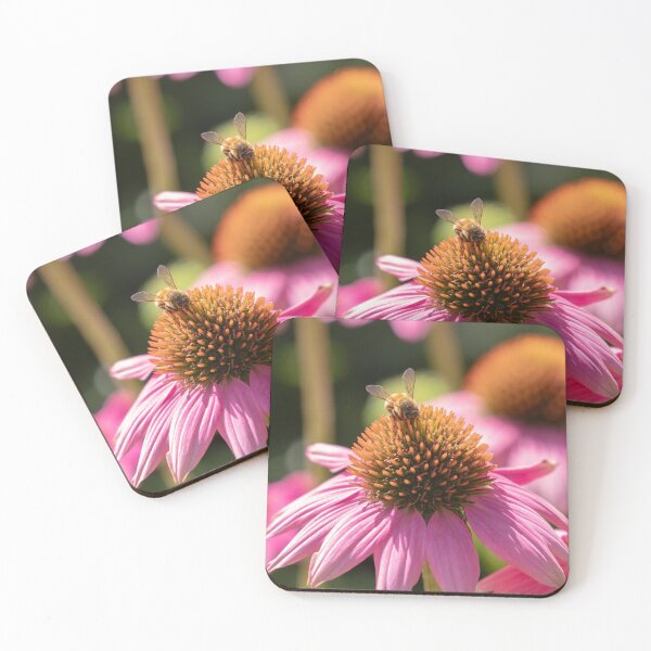 Item preview, Buzz - Coffs Harbour Botanic Garden designed and sold by Liztography.
