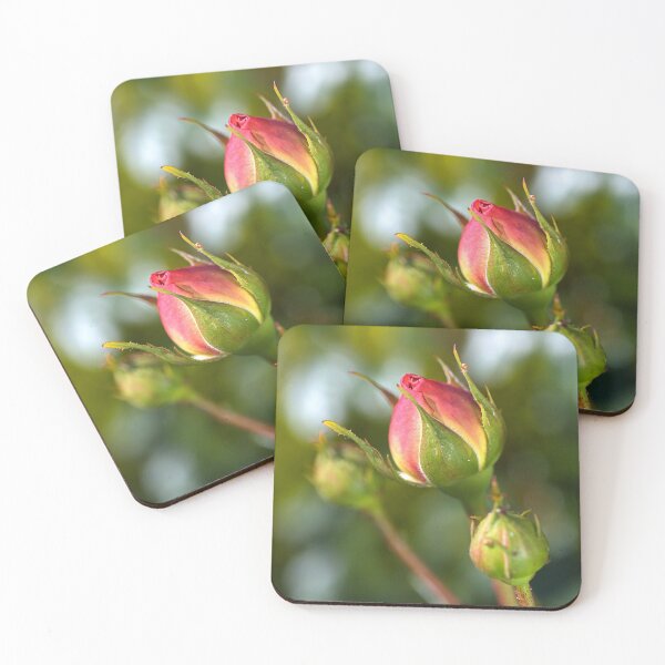 Item preview, New Life Rose Buds designed and sold by Joy Watson - Natural Light Photography .