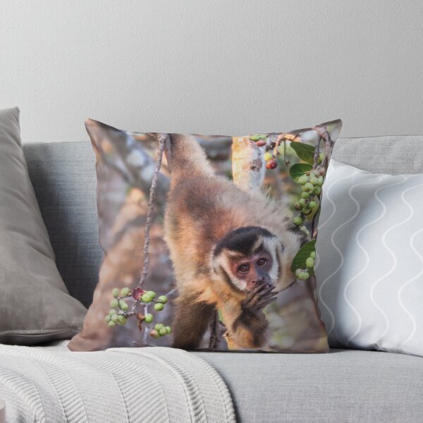 Item preview, Fig loving Capuchin monkey designed and sold by Linda Sparks.