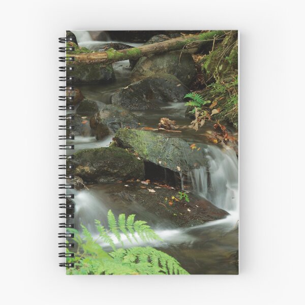 Item preview, TWIG FALLS designed and sold by andrewsaxton.