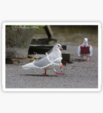 Dove Wedding Sticker