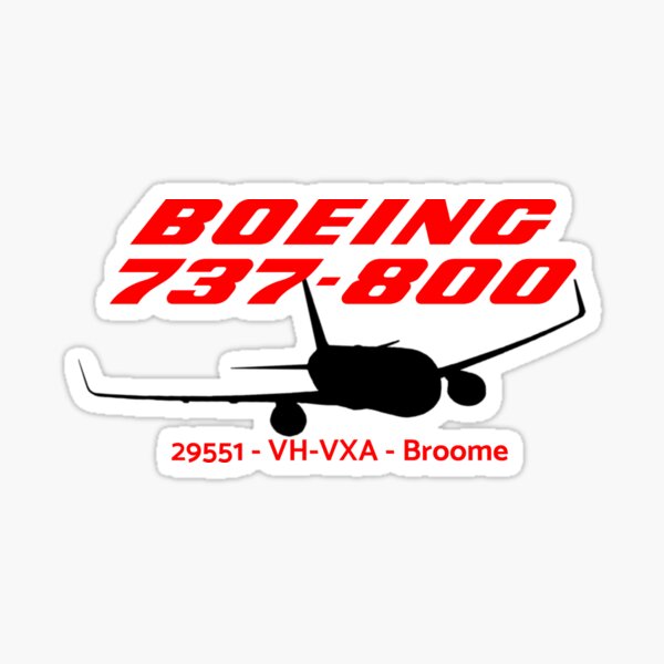 Boeing 737 800 Logo