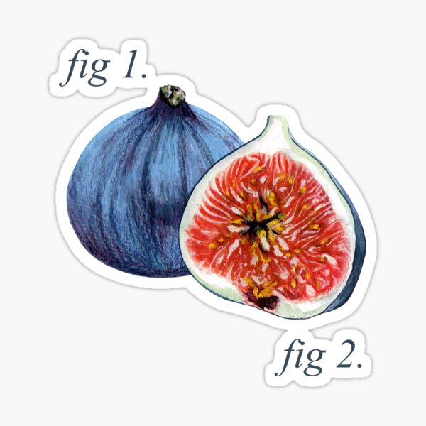 Selling figs stickers