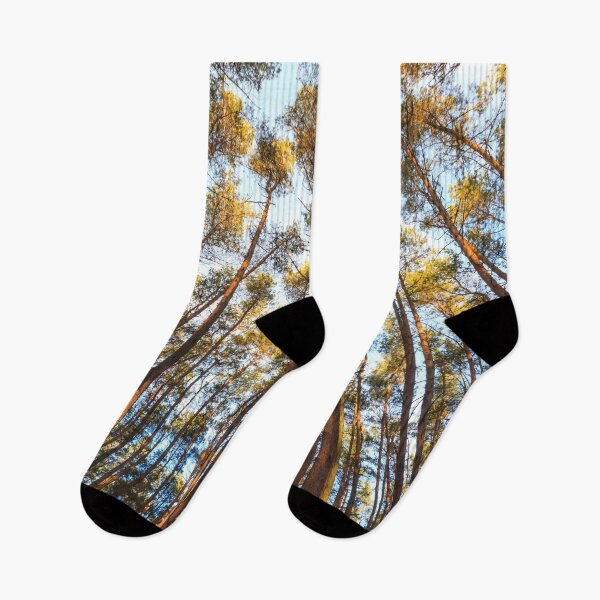 Item preview, forest landscape photography - Trees and sky  designed and sold by ohaniki.