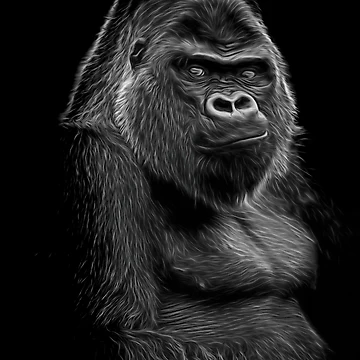 Artwork thumbnail, Impressive Silverback by rawshutterbug