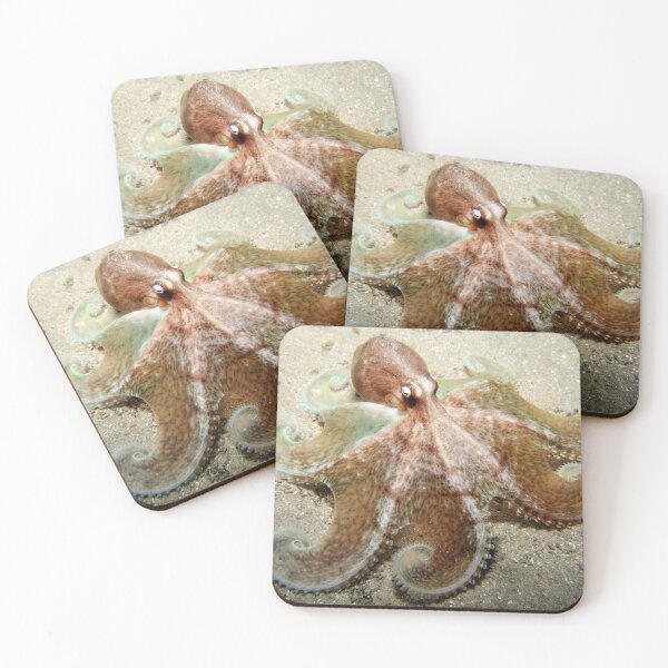 Item preview, Octopus Spread. designed and sold by James Peake Nature Photography..