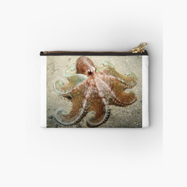 Item preview, Octopus Spread. designed and sold by James Peake Nature Photography..