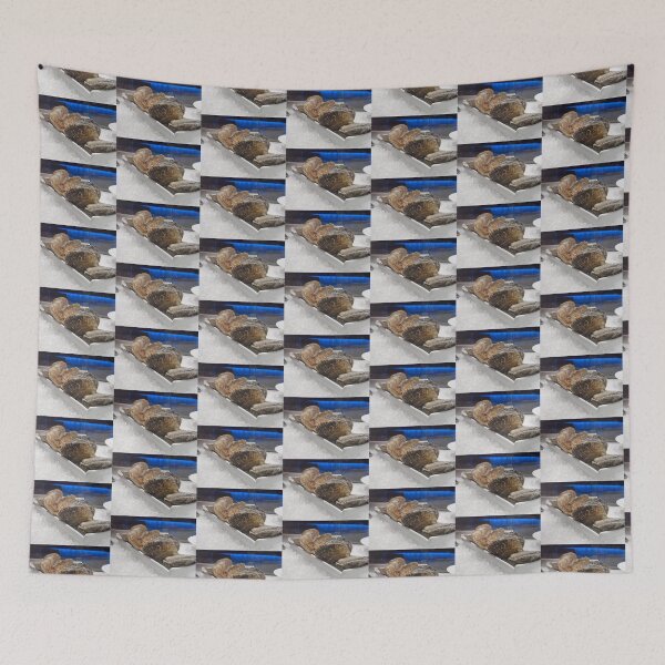 Item preview, Closed oysters on ice designed and sold by GemaIbarra.