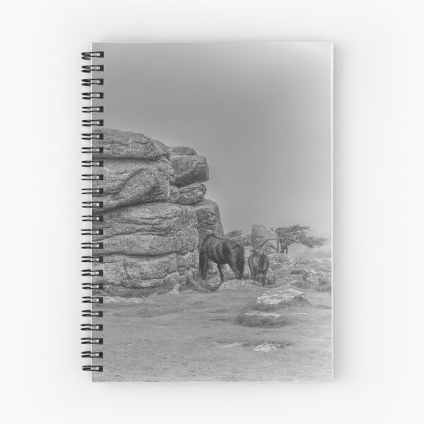 Artikelvorschau, Combestone Tor Dartmoor Devon entworfen und verkauft von Avril Harris.