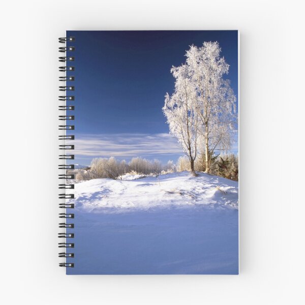 Item preview, Frosted trees in January designed and sold by Sasas Photography.