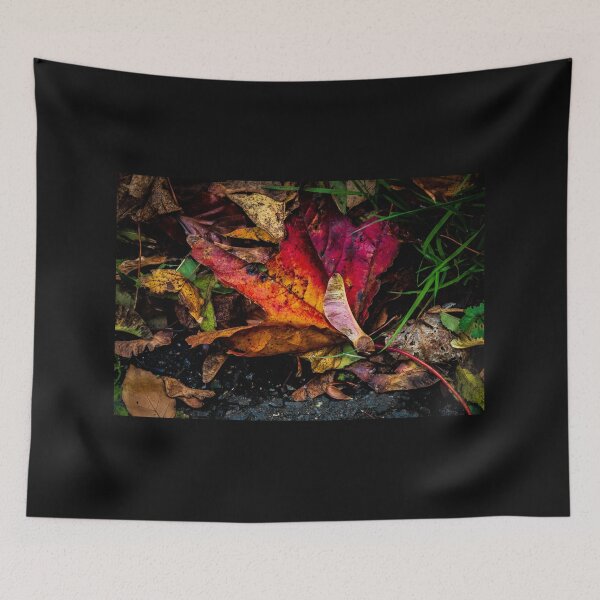 Item preview, Autumn Colours designed and sold by widdy170.