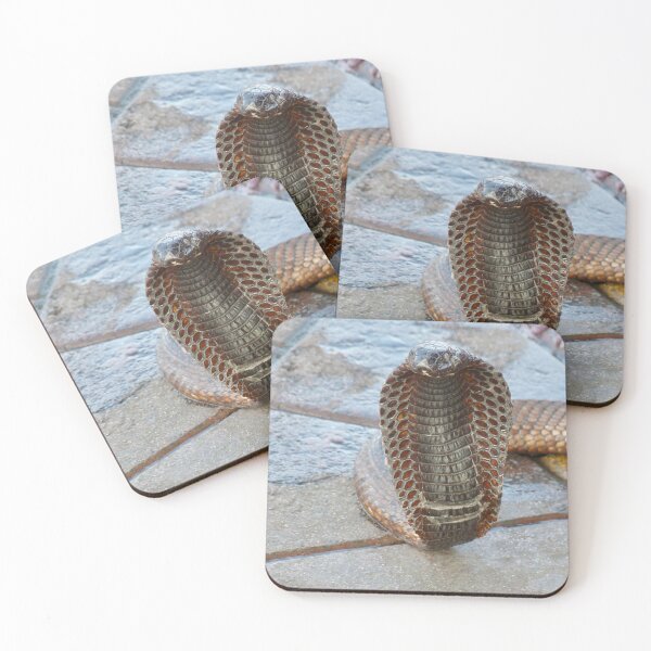 Item preview, JUST DANCING! designed and sold by Marilyn Grimble.