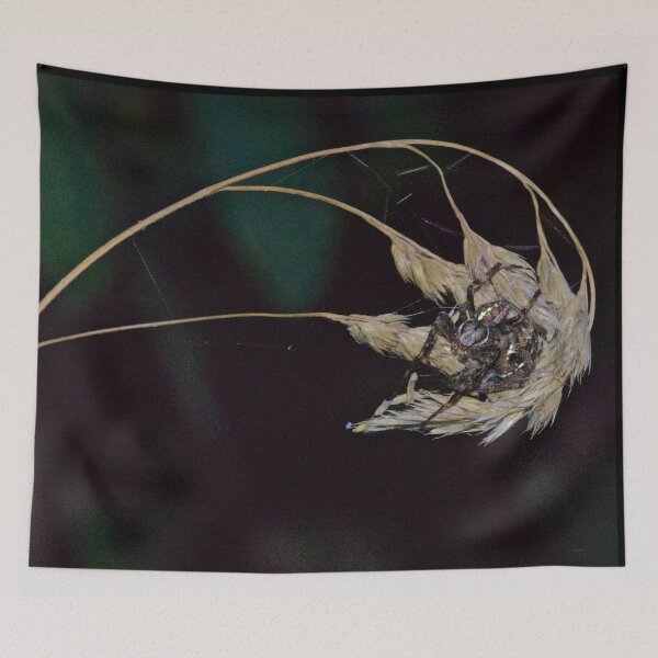Item preview, THE FIBONACCI SPIDERS designed and sold by NICK COBURN PHILLIPS.
