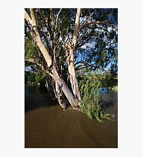 flood waters Photographic Print