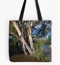 flood waters Tote Bag
