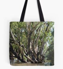 flood waters Tote Bag