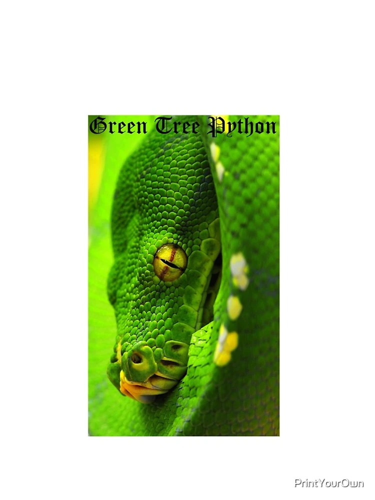 Thumbnail 4 of 4, iPhone Case, Green Tree Python designed and sold by PrintYourOwn.
