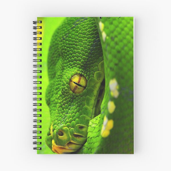 Item preview, Green Tree Python designed and sold by PrintYourOwn.