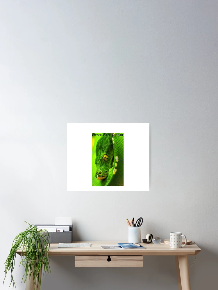 Thumbnail 2 of 3, Poster, Green Tree Python designed and sold by PrintYourOwn.