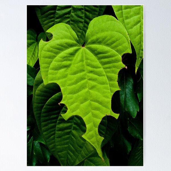 Item preview, Beautiful destruction of nature. designed and sold by queenxtc.