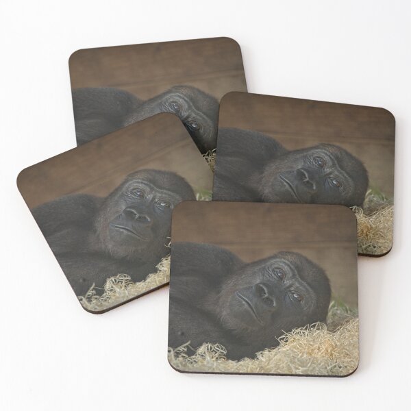 Item preview, Resting Gorilla designed and sold by rawshutterbug.