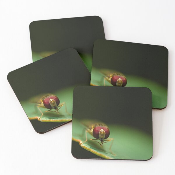 Item preview, Insect on the Edge designed and sold by Kafue.