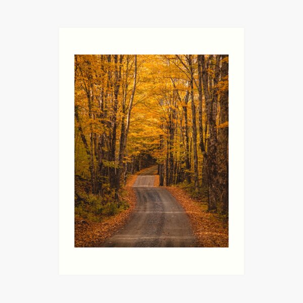 Vermont Backroads Art Print