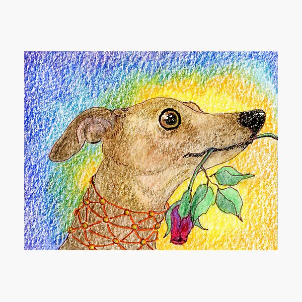 Item preview, He aimed to please designed and sold by SusanAlisonArt.