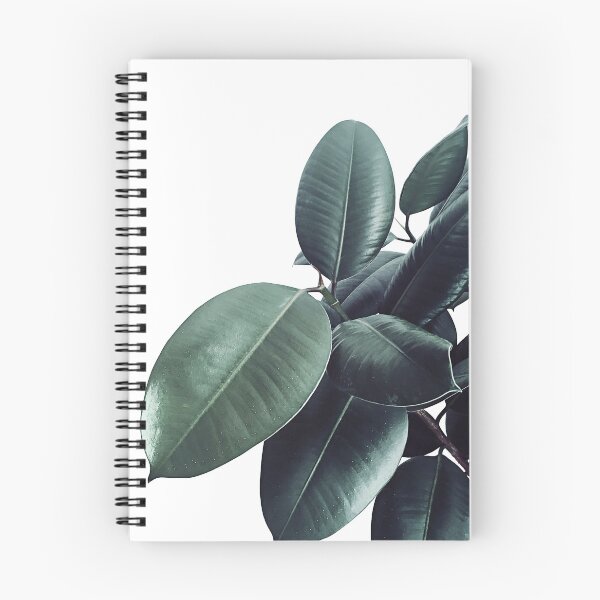 Item preview, Ficus Elastica #13 #decor #art  designed and sold by Anita's & Bella's Art.