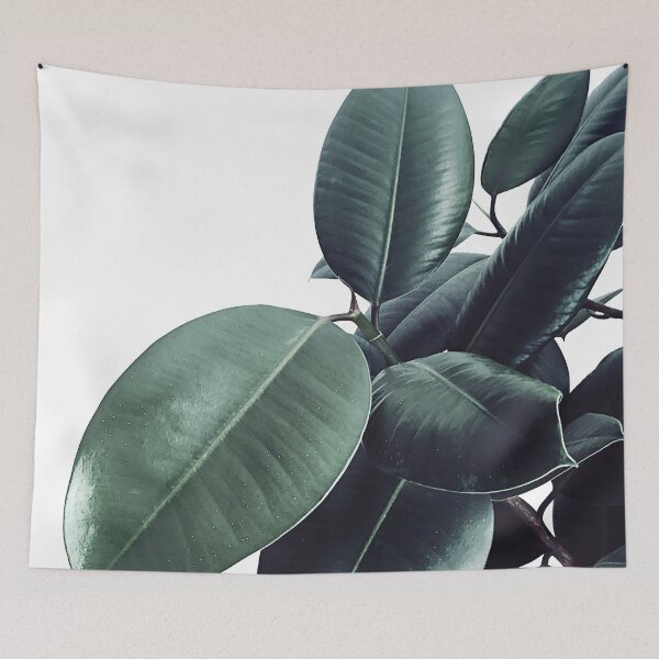 Item preview, Ficus Elastica #13 #decor #art  designed and sold by Anita's & Bella's Art.