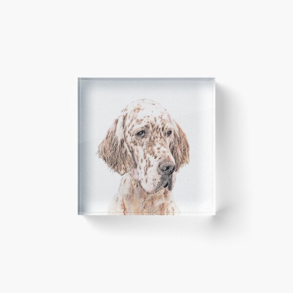 Item preview, English Setter (Orange Belton) designed and sold by alpendesigns.