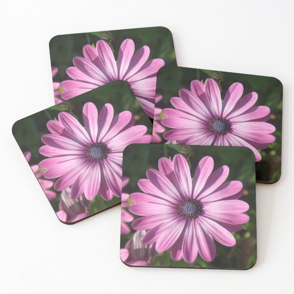 Item preview, Spectacular African Daisy designed and sold by taiche.